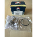 Support, moteur CAUTEX/FACET 200010
