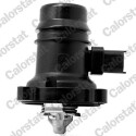 Thermostat d&#39;eau CALORSTAT de Vernet TE7246.103J