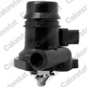 Thermostat d&#39;eau CALORSTAT de Vernet TE7250.103J