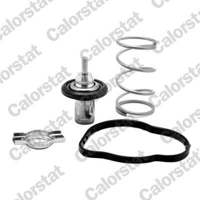 Thermostat d'eau CALORSTAT de Vernet THK7276.83J