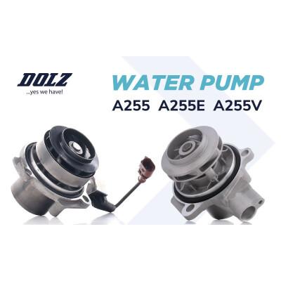 Pompe à eau, refroidissement moteur DOLZ A255
