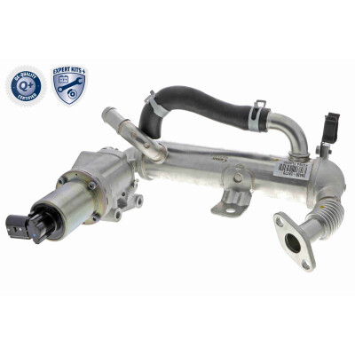 Module-EGR