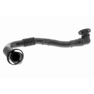 Tuyau, ventilation de carter-moteur