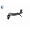 Tuyau, ventilation de carter-moteur