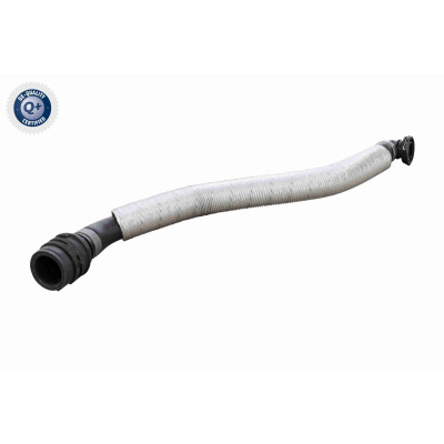 Tuyau, ventilation de carter-moteur
