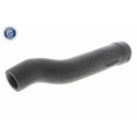 Tuyau, ventilation de carter-moteur