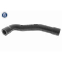 Tuyau, ventilation de carter-moteur