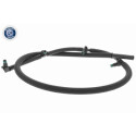 Tuyau, carburant de fuite