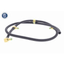 Tuyau, carburant de fuite