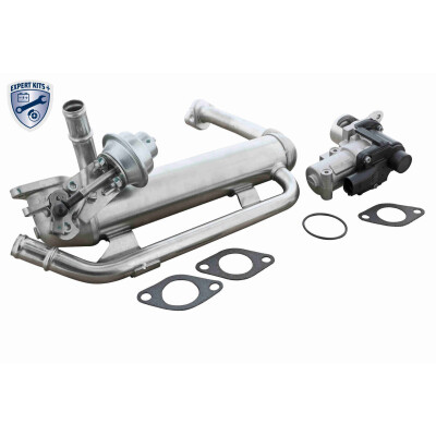 Module-EGR