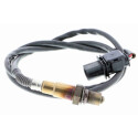 Sonde lambda
