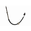 Capteur, température des gaz