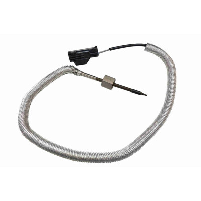 Capteur, température des gaz