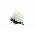 Pulseur d'air habitacle