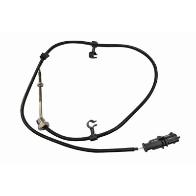 Capteur, température des gaz