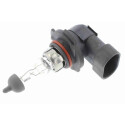 Ampoule, projecteur principal