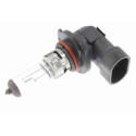 Ampoule, projecteur principal