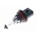 Ampoule, projecteur principal