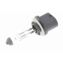 Ampoule, projecteur principal