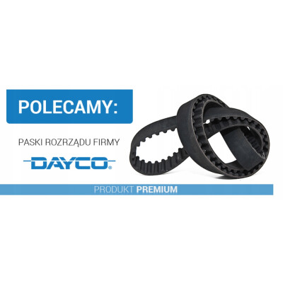 Courroie de distribution DAYCO 94554