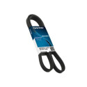 Courroie de distribution DAYCO 94773