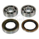 Kit de roulements de roue