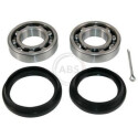Kit de roulements de roue