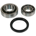 Kit de roulements de roue