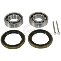 Kit de roulements de roue