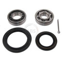 Kit de roulements de roue
