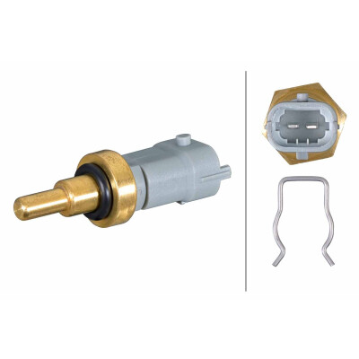 Sonde, température du liquide de refroidissement