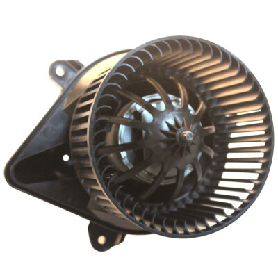 Pulseur d'air habitacle