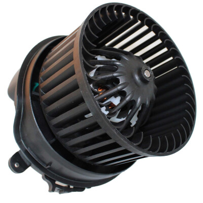 Pulseur d'air habitacle