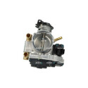 Corps papillon