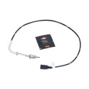 Capteur, température des gaz