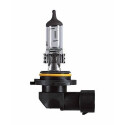 Ampoule, projecteur principal
