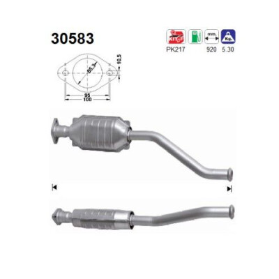 Catalyseur 30583 AS