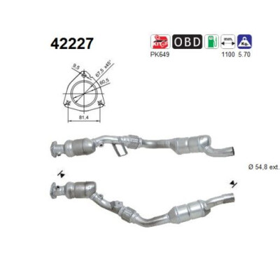 Catalyseur 42227 AS