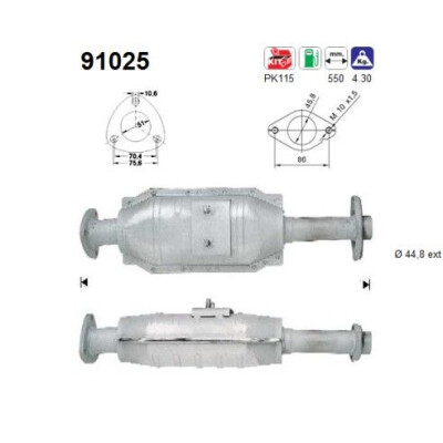 Catalyseur 91025 AS
