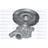 Pompe à eau, refroidissement du moteur R169ST DOLZ
