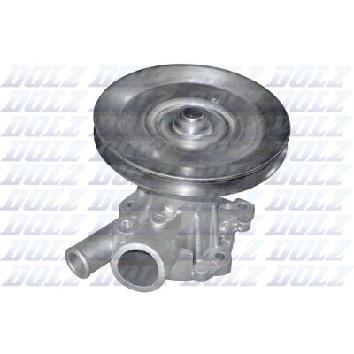 Pompe à eau, refroidissement du moteur R169ST DOLZ