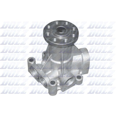 Pompe à eau, refroidissement du moteur R190 DOLZ