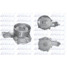Pompe à eau, refroidissement du moteur R618 DOLZ