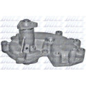 Pompe à eau, refroidissement du moteur S181ST DOLZ
