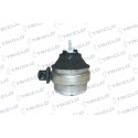 Support moteur 363922 TRICLO