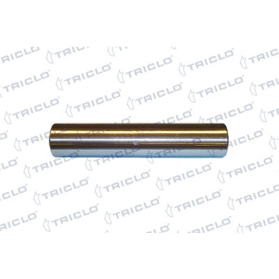 Suspension, jambe d'essieu 781838 TRICLO