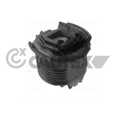 Suspension, corps de l'essieu 755680 CAUTEX/FACET