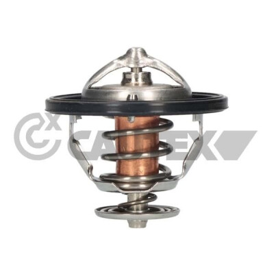 Thermostat, liquide de refroidissement 756879 CAUTEX/FACET