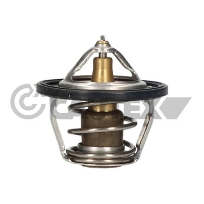 Thermostat, liquide de refroidissement 756906 CAUTEX/FACET