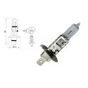 Ampoule, projecteur longue portée 79780230 CARPRISS